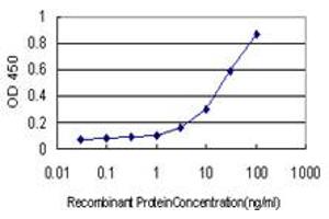 Detection limit for recombinant GST tagged TP63 is approximately 0. (p63 antibody  (AA 1-100))