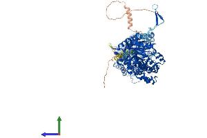 AlphaFold protein structure predicition of Human Recombinant KLB Protein, UniprotID Q86Z14 (Klotho beta Protein (KLB) (AA 1-1044) (His tag))