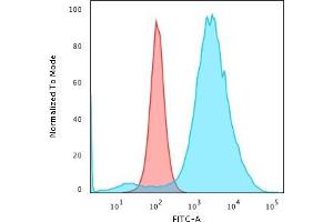 Flow Cytometric Analysis of paraformaldehyde-fixed HeLa cells with CD55 Mouse Monoclonal Antibody (F4-29D9) followed by goat anti-Mouse IgG-CF488 (Blue) Isotype Control (Red) (CD55 antibody)