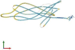 Protein Structure (PS) image for Early Endosome Antigen 1 (EEA1) (AA 1-1411) protein (His tag) (ABIN7564383)