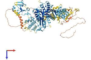 AlphaFold protein structure predicition of Human Recombinant THAP9 Protein, UniprotID Q9H5L6 (THAP9 Protein (AA 1-903) (His tag))