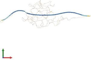 Protein Structure (PS) image for Microtubule-associated Tumor Suppressor Candidate 2 (MTUS2) (AA 1-1353) protein (His tag) (ABIN7563716)