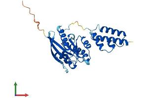 AlphaFold protein structure predicition of Human Recombinant DNAJC27 Protein, UniprotID Q9NZQ0 (DNAJC27 Protein (AA 1-273) (His tag))