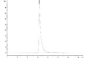 The purity of SARS-COV-2 Spike S Trimer is greater than 95 % as determined by SEC-HPLC. (SARS-CoV-2 Spike Protein (Trimer) (His-Avi Tag))