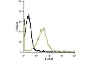 Cell surface detection of Histamine H4 receptor in live intact Jurkat (acute T-cell leukemia) cell lines: (black line) Unstained cells + goat-anti-rabbit-PE. (HRH4 antibody  (1st Extracellular Loop))