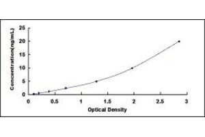 Typical standard curve (LRPPRC ELISA Kit)