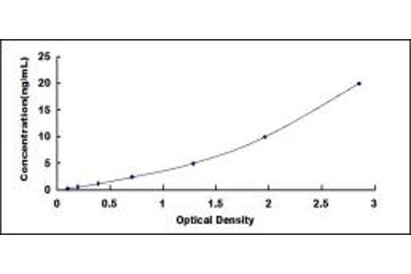 LRPPRC ELISA Kit