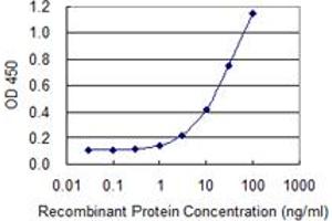 Detection limit for recombinant GST tagged NAPSA is 0. (NAPSA antibody  (AA 26-420))