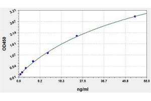 Typical standard curve (SARS-CoV-2 N-Protein IgM Antibody ELISA Kit)