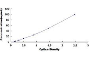 Typical standard curve (ITIH5 ELISA Kit)