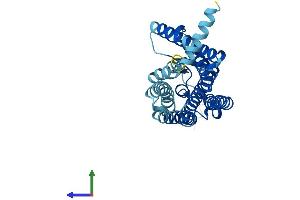 AlphaFold protein structure predicition of Human Recombinant OR5I1 Protein, UniprotID Q13606 (OR5I1 Protein (AA 1-314) (His tag))