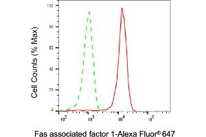 Flow cytometric analysis of Fas associated factor 1 expression in HepG2 cells using Fas associated factor 1 antibody (ABIN7798576), 1:1,000). (FAF1 antibody)
