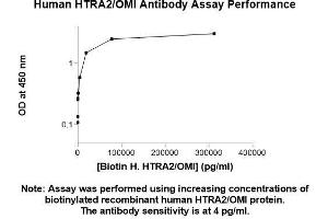 Image no. 1 for anti-HtrA Serine Peptidase 2 (HTRA2) (AA 134-458) antibody (ABIN5565372) (HTRA2 antibody  (AA 134-458))