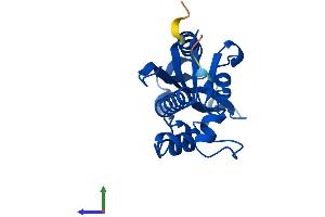 AlphaFold protein structure predicition of Human Recombinant ISG20 Protein, UniprotID Q96AZ6 (ISG20 Protein (AA 1-181) (His tag))