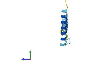 Protein Structure (PS) image for Small EDRK-Rich Factor 2 (SERF2) (AA 1-59) protein (Fc Tag) (ABIN7556761)