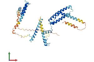 AlphaFold protein structure predicition of Mouse Recombinant Dnajc28 Protein, UniprotID Q8VCE1