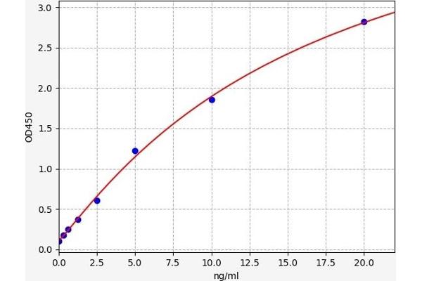 TGM1 ELISA Kit