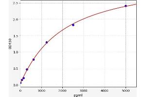 PRKACB ELISA Kit