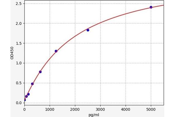 PRKACB ELISA Kit