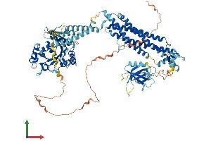 Protein Structure (PS) image for Dynamin 1 (DNM1) (AA 1-864) protein (His tag) (ABIN7553748)