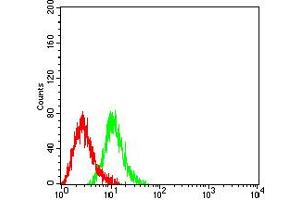 Flow cytometric analysis of HL-60 cells using CD104 mouse mAb (green) and negative control (red). (Integrin beta 4 antibody  (AA 29-206))