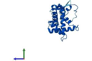 Protein Structure (PS) image for Ribosomal Protein S5 (RPS5) (AA 1-204) protein (His tag) (ABIN7551598)