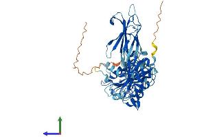 AlphaFold protein structure predicition of Mouse Recombinant Cpne8 Protein, UniprotID Q9DC53