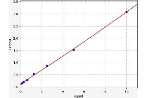 CD19 ELISA Kit