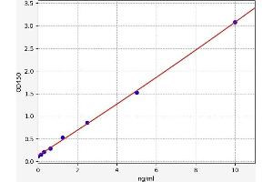 Typical standard curve (CD19 ELISA Kit)