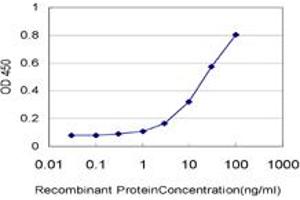 Detection limit for recombinant GST tagged TRIM37 is approximately 0. (TRIM37 antibody  (AA 865-964))