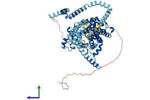 AlphaFold protein structure predicition of Mouse Recombinant Slc28a3 Protein, UniprotID Q9ERH8