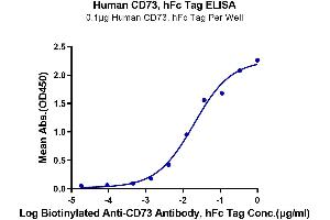 Immobilized Human CD73, hFc Tag at 1 μg/mL (100 μL/well) on the plate. (CD73 Protein (AA 27-547) (Fc Tag))