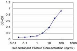 Detection limit for recombinant GST tagged PBX3 is approximately 1ng/ml as a capture antibody. (PBX3 antibody  (AA 342-434))