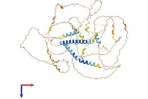 AlphaFold protein structure predicition of Human Recombinant DACT3 Protein, UniprotID Q96B18 (DACT3 Protein (AA 1-629) (His tag))