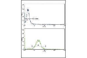 Flow cytometric analysis of MDA-231 cells using EPN3 Antibody (N-term)(bottom histogram) compared to a negative control cell (top histogram). (EPN3 antibody  (N-Term))