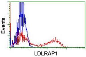 Flow Cytometry (FACS) image for anti-Low Density Lipoprotein Receptor Adaptor Protein 1 (LDLRAP1) antibody (ABIN1496685) (LDLRAP1 antibody)