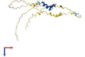 AlphaFold protein structure predicition of Human Recombinant CITED4 Protein, UniprotID Q96RK1 (CITED4 Protein (AA 1-184) (His tag))