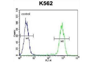 ELAVL2 Antibody (Center) flow cytometric analysis of K562 cells (right histogram) compared to a negative control cell (left histogram). (ELAVL2 antibody  (Middle Region))
