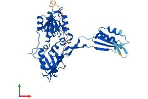 AlphaFold protein structure predicition of Human Recombinant NIF3L1 Protein, UniprotID Q9GZT8