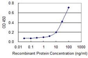 Detection limit for recombinant GST tagged BCL2L14 is 1 ng/ml as a capture antibody. (BCL2L14 antibody  (AA 1-327))