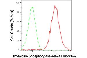 Flow cytometric analysis of Thymidine phosphorylase expression in HaCaT cells using Thymidine phosphorylase antibody (ABIN7800552), 1:2,000). (Thymidine Phosphorylase antibody)