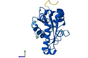 Protein Structure (PS) image for Phosphomevalonate Kinase (PMVK) (AA 1-192) protein (His tag) (ABIN7560883)