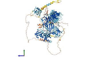 Protein Structure (PS) image for Ubiquitin Specific Peptidase 47 (USP47) (AA 1-1376) protein (His tag) (ABIN7564459)