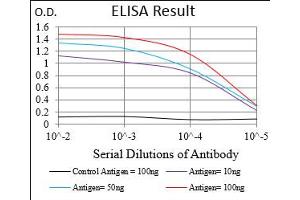 ELISA image for anti-Phospholipase C gamma 2 (PLCG2) (pTyr753) antibody (ABIN5611155)