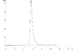The purity of Human PD-L1 is greater than 95 % as determined by SEC-HPLC. (PD-L1 Protein (AA 19-238) (mFc Tag))