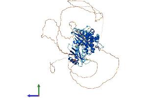 AlphaFold protein structure predicition of Human Recombinant MARK2 Protein, UniprotID Q7KZI7 (MARK2 Protein (AA 1-788) (His tag))