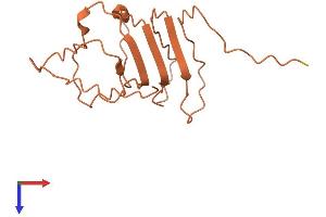 Placenta-Specific 4 (PLAC4) (AA 1-150) protein (His tag)