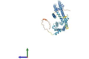 Protein Structure (PS) image for Cation Channel, Sperm Associated 3 (CATSPER3) (AA 1-398) protein (His tag) (ABIN7546756)