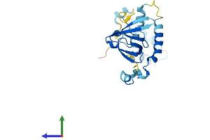 Protein Structure (PS) image for Processing of Precursor 4, Ribonuclease P/MRP Subunit (POP4) (AA 1-220) protein (His tag) (ABIN7551560)