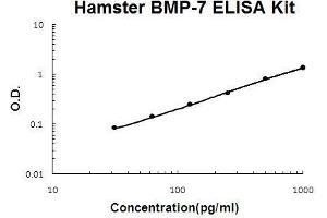 Hamster BMP-7 PicoKine ELISA Kit standard curve (BMP7 ELISA Kit)